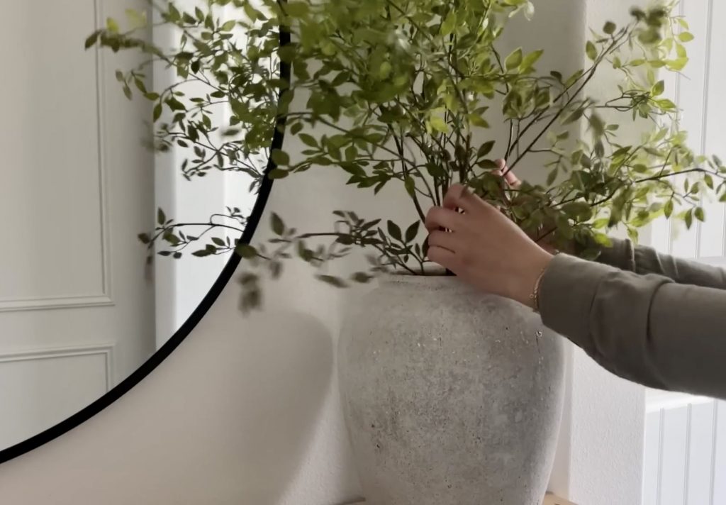 interior decoration home - plants - mirror - person - artificial plants