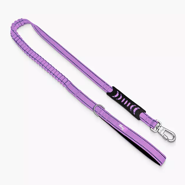 Dog Friendly Co. Bungee Dog Leash Shock Absorbing (Small, Purple)